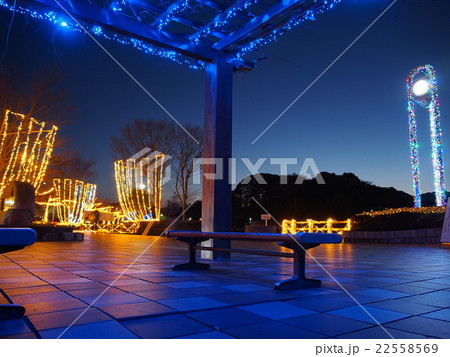蓮華寺池公園のイルミネーション 22558569