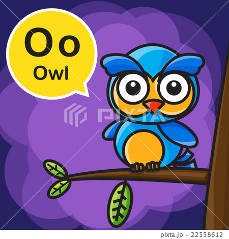 O Owl color cartoon and alphabet for children O Owl color cartoon and alphabet for children 22558612