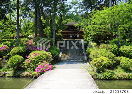 滋賀　新緑の三井寺 22558708