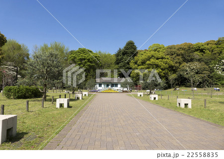 東京 代々木公園 新緑 青空 春 4月 広場 芝生 花壇 建物の写真素材 22558835 Pixta