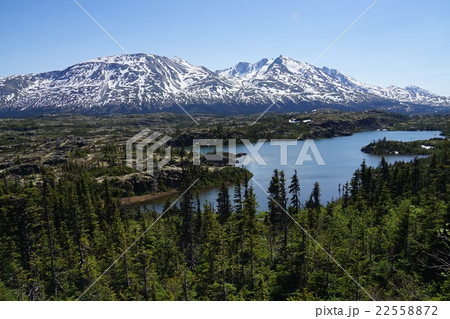 アラスカ 氷山 アラスカ 氷山 22558872