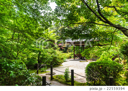 京都　天授庵　書院南庭 22559394