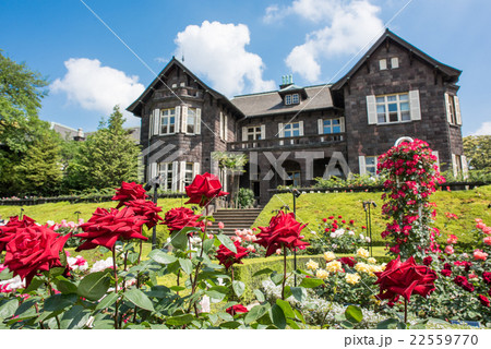 旧古河庭園　バラ園と洋館 22559770