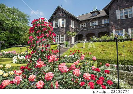 旧古河庭園 バラ園と洋館の写真素材 旧古河庭園 バラ園と洋館の写真素材