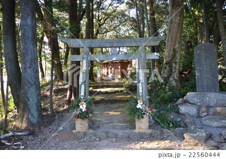 諏訪原城　諏訪神社 22560444