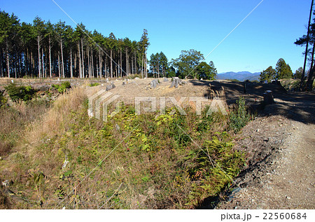 諏訪原城　二の曲輪中馬出 22560684