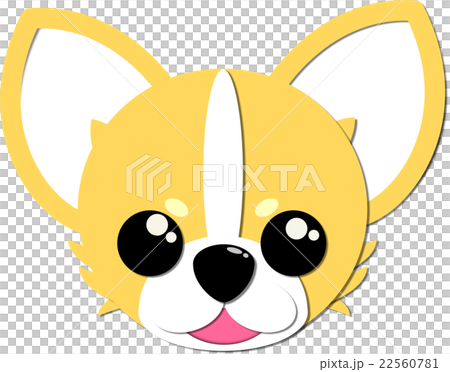 奇瓦瓦 奇瓦瓦 22560781