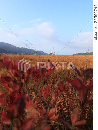 尾瀬ケ原 尾瀬ケ原 22560795