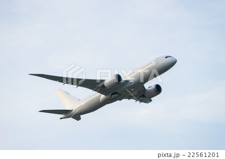 ボーイング787-8 22561201