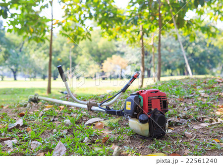 lawn mover  on the field 22561240