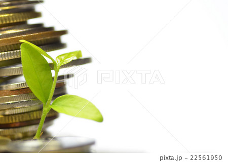 Plant and lot of coins 22561950