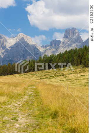 Beautiful alpine panorama Beautiful alpine panorama 22562250