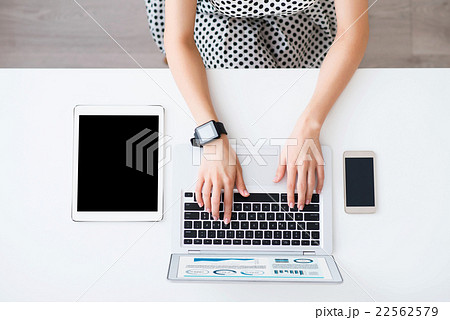 Nice woman working on the laptop  22562579