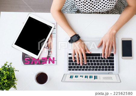 Pleasant woman working on the laptop  22562580