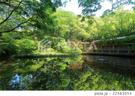 熱田神宮 南神池 熱田神宮 南神池 22563054