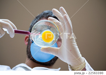 Fertilizing 22563390