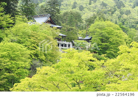 新緑の瑞光寺 22564196