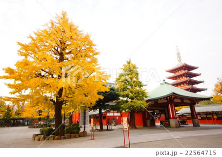 浅草観音 浅草寺 五重塔 ( 聖観音宗の総本山 ) 東京都 台東区 浅草 浅草観音 浅草寺 五重塔 ( 聖観音宗の総本山 ) 東京都 台東区 浅草 22564715