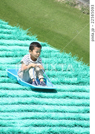 芝そりで遊ぶ小学生(1年生) 芝そりで遊ぶ小学生(1年生) 22565093