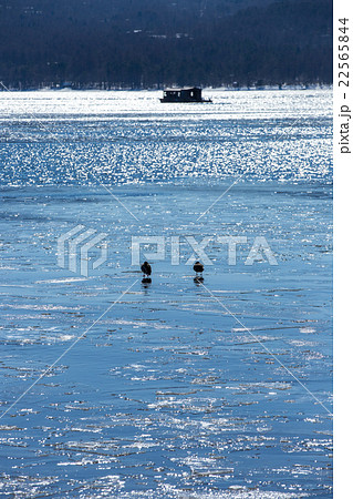 薄氷の山中湖 22565844