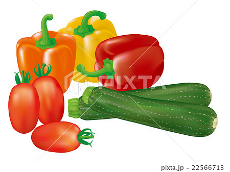 野菜_イタリアン 野菜_イタリアン 22566713