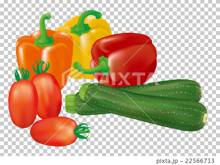 野菜_イタリアン 野菜_イタリアン 22566713