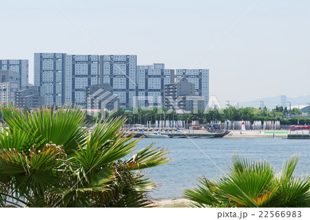 西宮市 香櫨園浜 西宮市 香櫨園浜 22566983