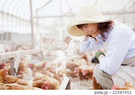養鶏　女性 22567451