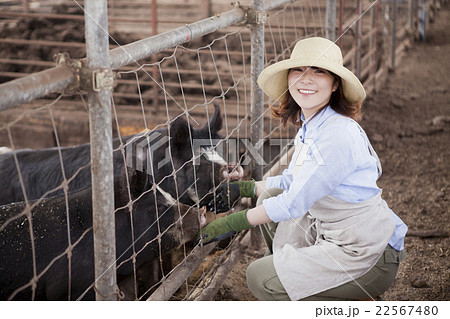 養豚 女性 養豚 女性 22567480