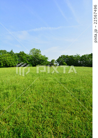 牛久保公園 22567496