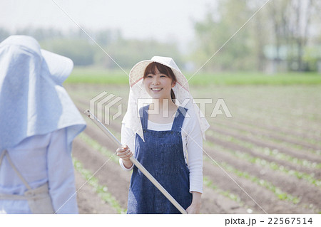 農家の女性 農家の女性 22567514