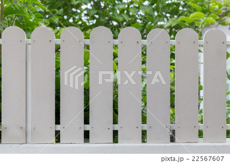 รั้วขาว 22567607