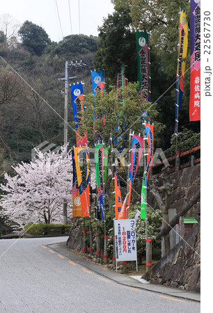 四国金毘羅歌舞伎大芝居開催間近の金丸座周辺 四国金毘羅歌舞伎大芝居開催間近の金丸座周辺 22567730