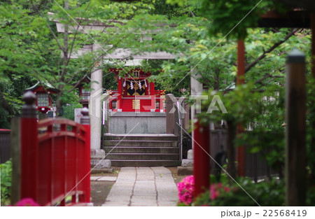 富岡八幡宮の摂社・七渡神社 22568419