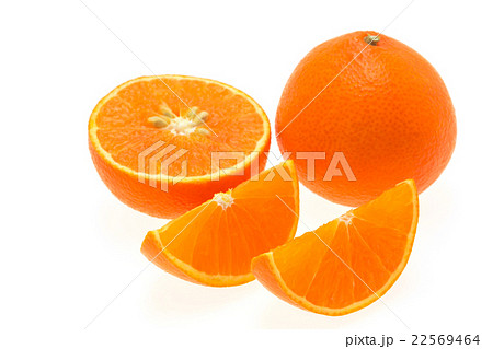 紅まどんな 22569464