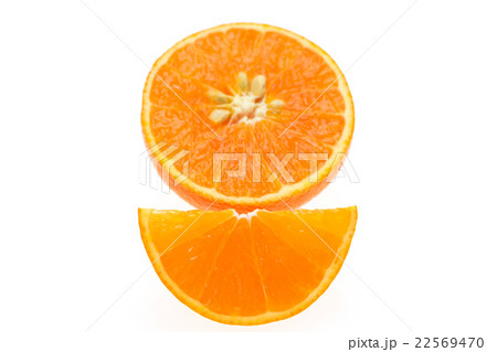 カットした紅マドンナ カットした紅マドンナ 22569470