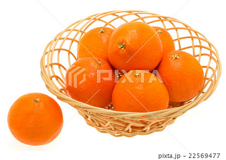 紅まどんな 22569477