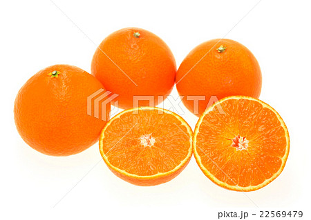 紅まどんな 22569479