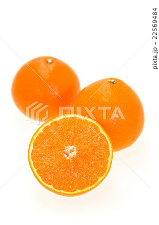 紅まどんな 22569484