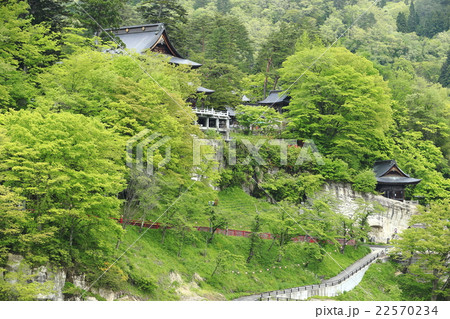 新緑の瑞光寺 新緑の瑞光寺 22570234