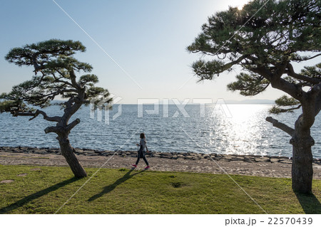 松江市 宍道湖の公園を歩く女性 松江市 宍道湖の公園を歩く女性 22570439