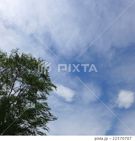 楠木の波と雲の波 22570707