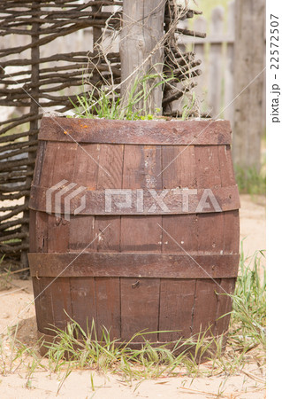 Old wooden barrel adapted as a bed for flowers Old wooden barrel adapted as a bed for flowers 22572507
