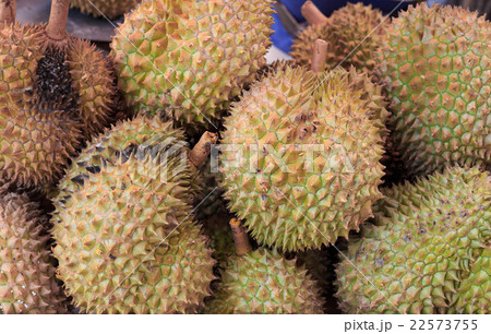 Group of raw durian in the market 22573755