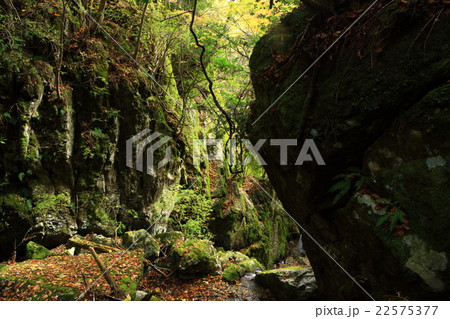 雪彦山より 22575377