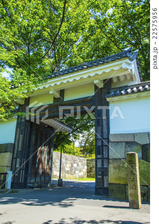 北の丸公園田安門 22575956