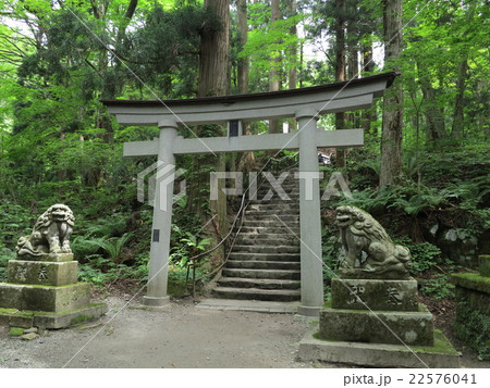 十和田神社 鳥居 十和田神社 鳥居 22576041