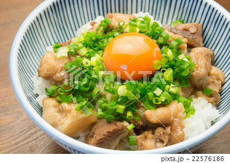 ぼっかけ丼 22576186