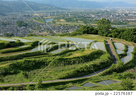 水を張る棚田 水を張る棚田 22576387