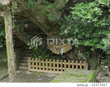 天の真名井 22577027